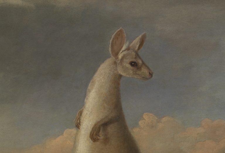 Animal Paintings: George Stubbs, The Kongouro from New Holland, 1772, National Maritime Museum, London, UK. Detail.
