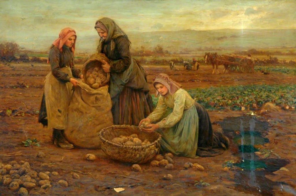 potato in art: Ernest Higgins Rigg, The Potato Pickers, undated, Bradford Museums, UK. ArtUK.
