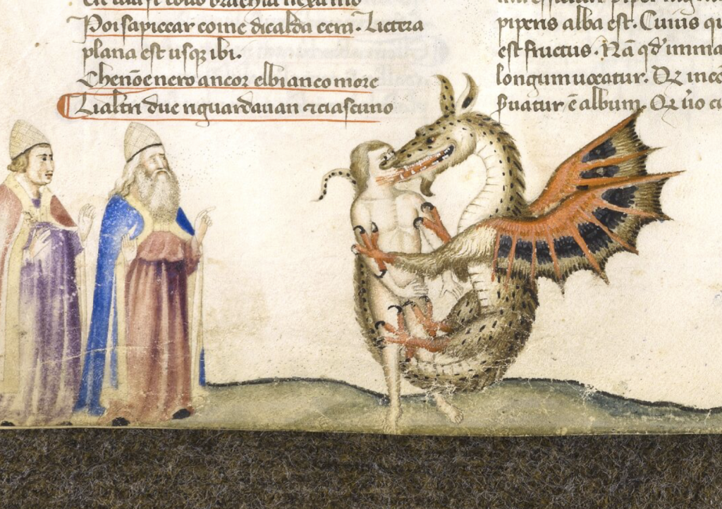 discarding images: The Best of Discarding Images: Dante Alighieri, Divine Comedy, c. 1330-1340, Bibliothèque du château Chantilly, (MS 597, fol. 169v), France. Biblissima.
