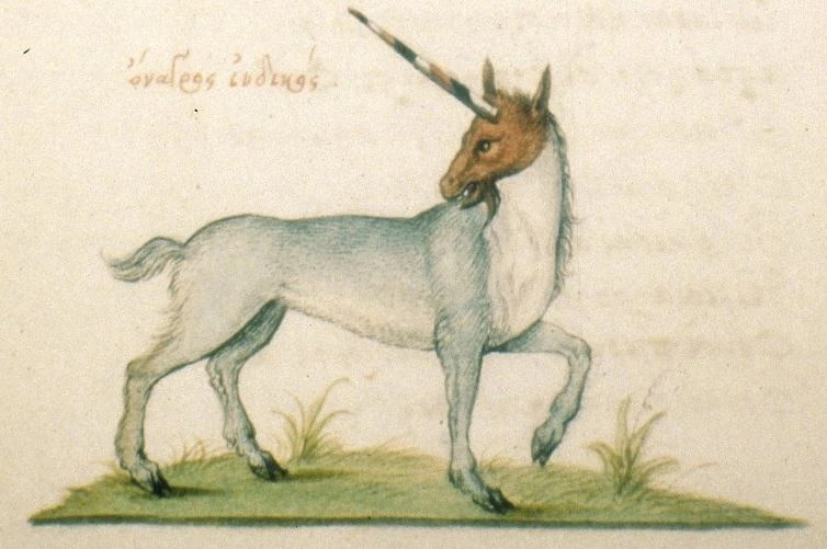 Unicorns in art: Illustration of the unicorn according to Ctesias. Unicorn Wiki.

