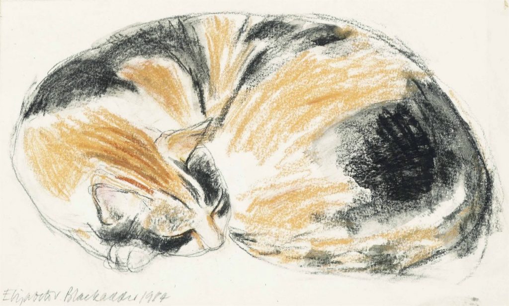 Elizabeth Blackadder: Elizabeth Blackadder, Sleeping Cat, 1984, private collection. The Great Cat.
