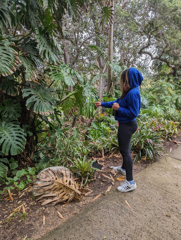 museum: Our author Maya M Tola in gardens at Huntington Library, Art Collections and Botanical Gardens, San Marino, CA, USA. Courtesy of the author.
