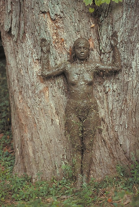 Controversial artists: Controversial Artists: Ana Mendieta, Tree of Life, 1977, Hayward Gallery, London, UK.