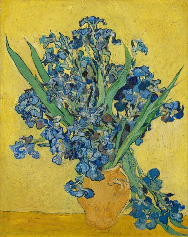 Van Gogh flowers: Vincent van Gogh, Irises, 1890, Van Gogh Museum, Amsterdam, The Netherlands.
