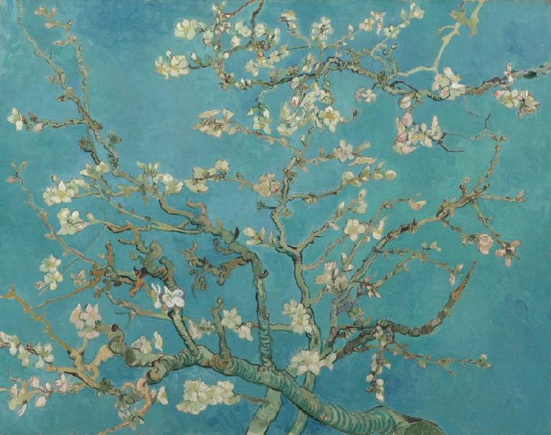Van Gogh flowers: Vincent van Gogh, Almond Blossom, 1890, Van Gogh Museum, Amsterdam, The Netherlands.
