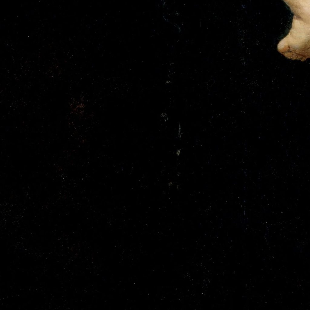 Rembrandt Ganymede: Rembrandt, Abduction of Ganymede, 1635, Gemäldegalerie Alte Meister, Dresden, Germany. Detail.
