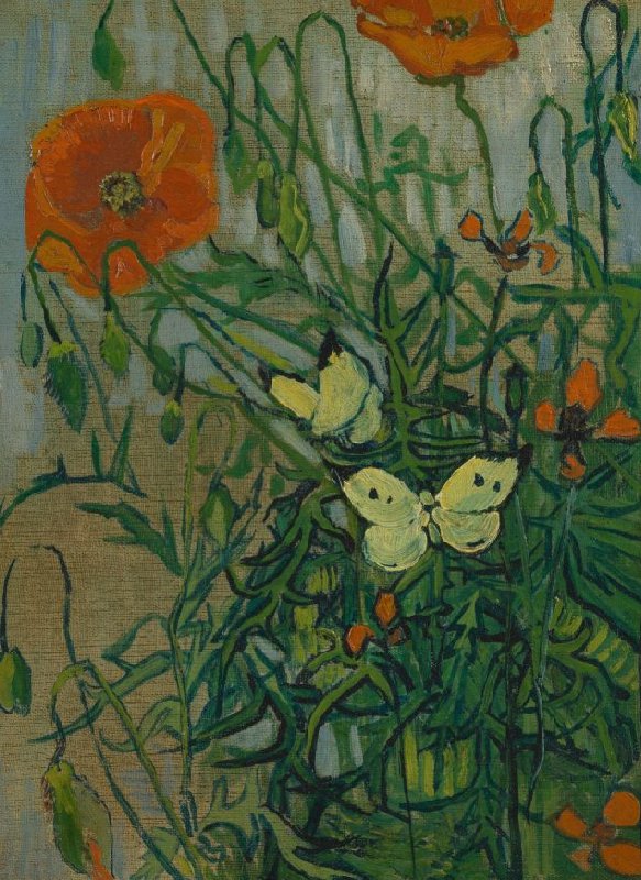 Van Gogh flowers: Vincent van Gogh, Butterflies and Poppies, 1889, Van Gogh Museum, Amsterdam, The Netherlands.
