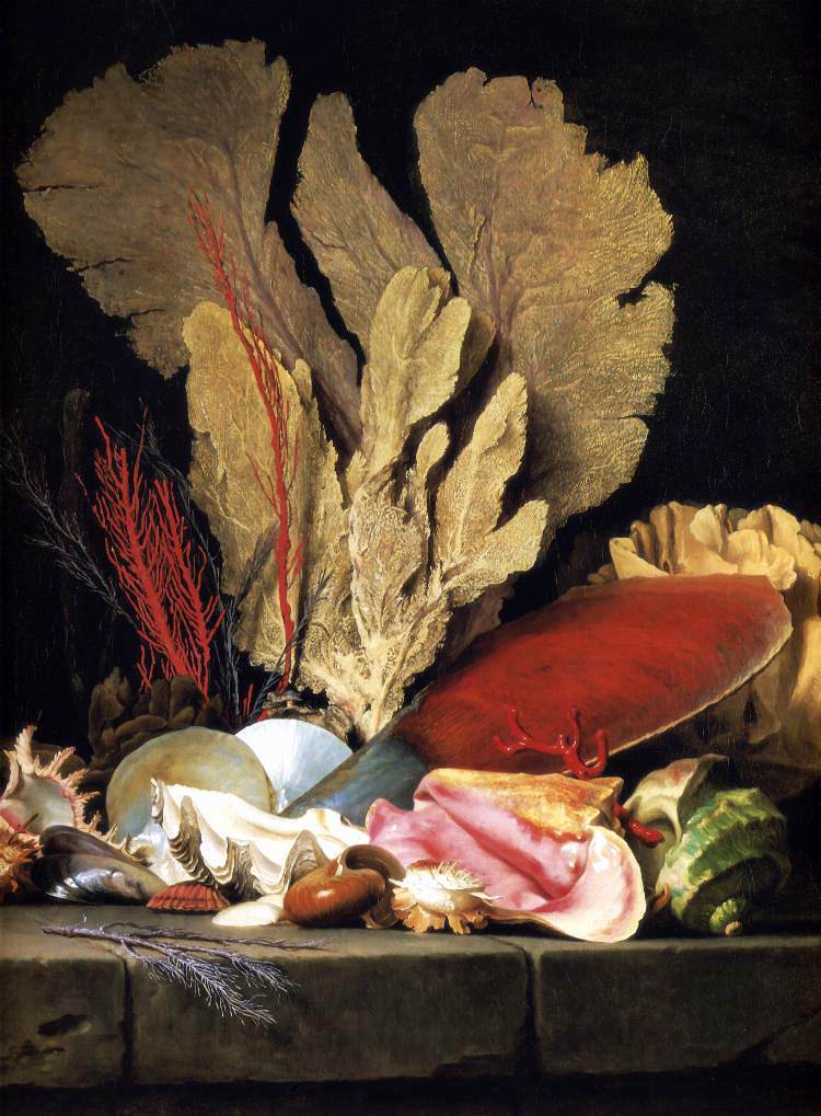 anne vallayer-coster: Anne Vallayer-Coster, Still Life with Tuft of Marine Plants, Shells and Corals, 1769, Louvre Museum, Paris, France
