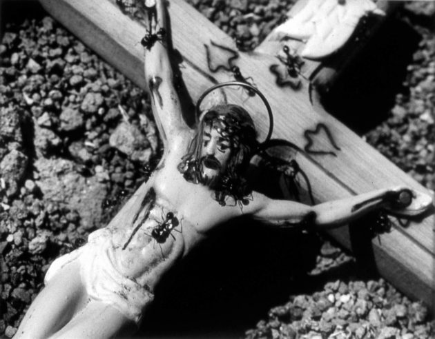 Censorship: David Wojnarowicz, Untitled (Spirituality) from the Ant Series, 1988-1989. PPOW Gallery.

