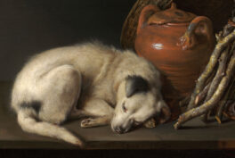 Gerrit Dou, Dog at Rest, 1650, oil on oak panel, Museum of Fine Arts, Boston, MA, USA. Detail.