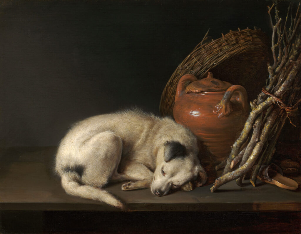 Gerrit Dou dog at rest: Gerrit Dou, Dog at Rest, 1650,  Museum of Fine Arts, Boston, MA, USA.
