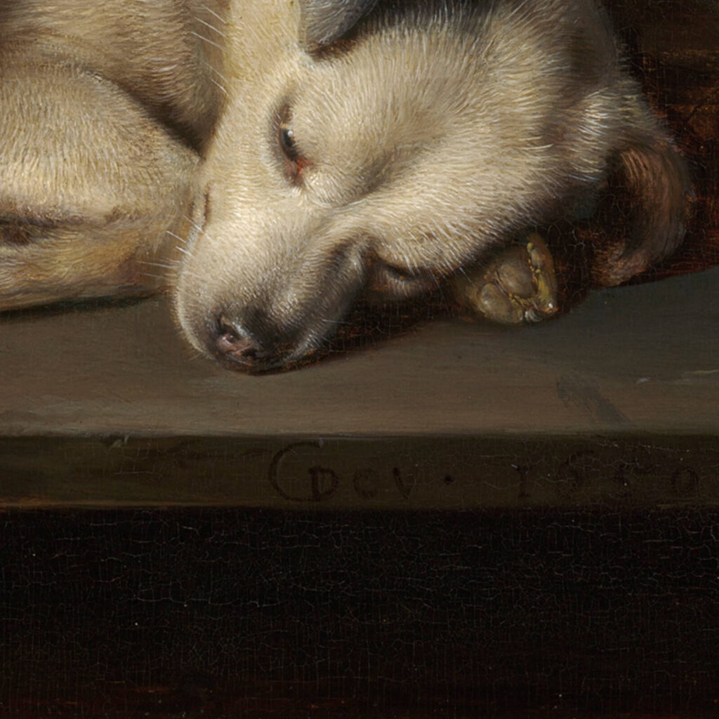 Gerrit Dou dog at rest: Gerrit Dou, Dog at Rest, 1650, Museum of Fine Arts, Boston, MA, USA. Detail.

