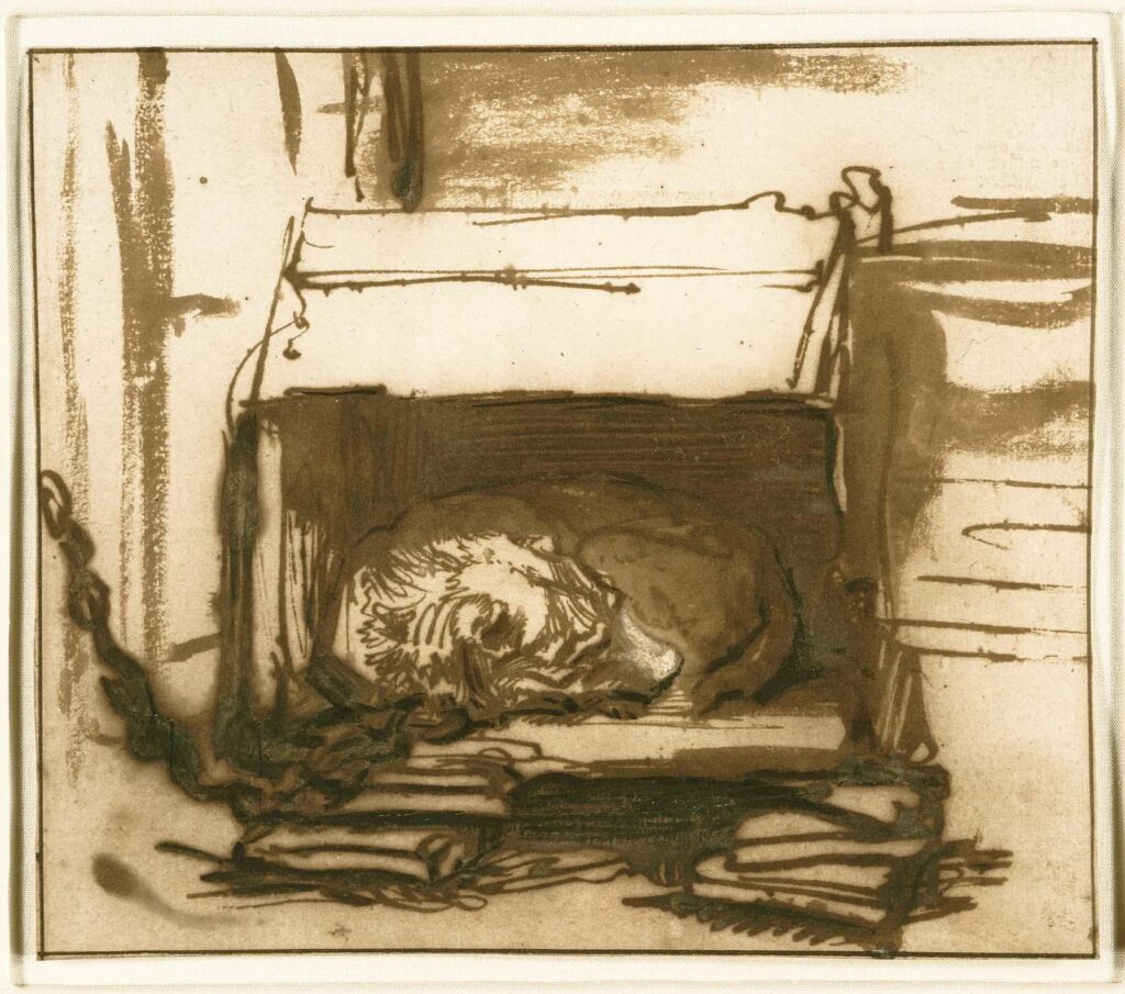 Gerrit Dou dog at rest: Rembrandt Harmensz van Rijn, Sleeping Watchdog, 1637-1640, Museum of Fine Arts, Boston, MA, USA.
