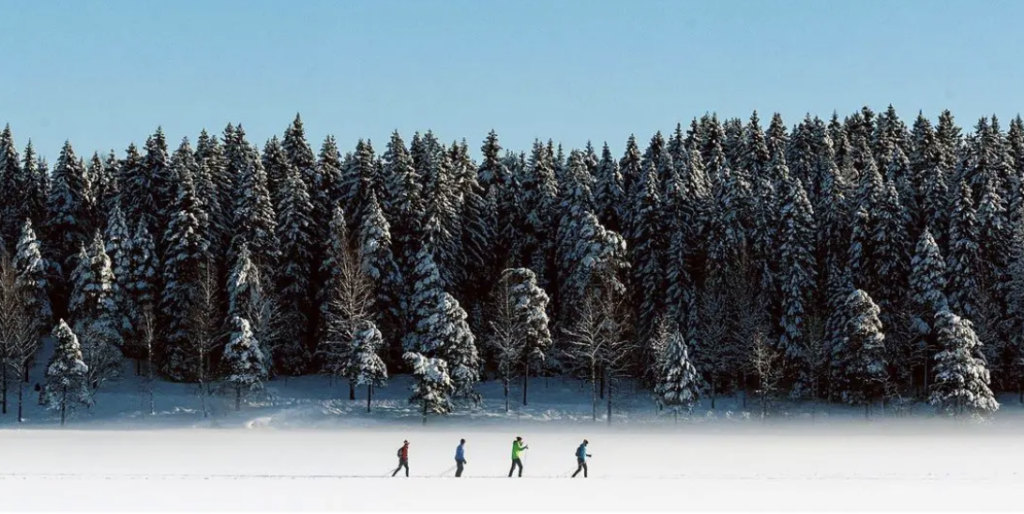 Accidentally Wes Anderson: Cross-Country Skiers. Sognsvann Lake, Norway. C.1700. Photo by Chris Dovletoglou. Accidentally Wes Anderson.
