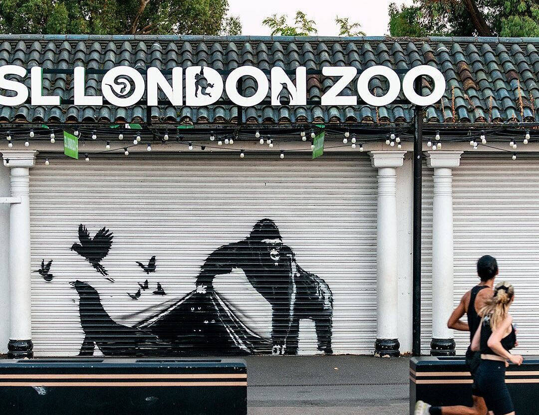 Art Travels: An Ultimate Banksy City Guide | DailyArt Magazine