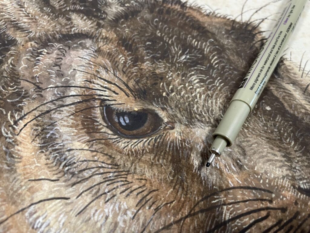 dailyart prints: DailyArt print with Albrecht Dürer’s Young Hare. Detail.
