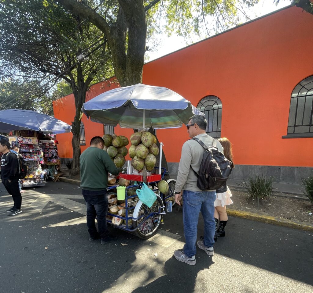 Frida Kahlo House: Food stands outside the Frida Kahlo Museum, Mexico City, Mexico. Photo by Terin Christensen, 2025.
