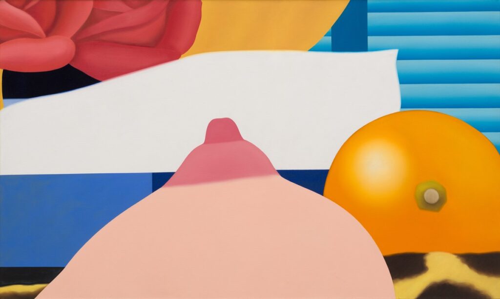 tom wesselmann: Tom Wesselmann, Bedroom Painting #4, 1968. Gagosian.
