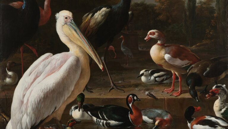 birds in art: Melchior d’ Hondecoeter, The Floating Feather, c. 1680, Rijksmuseum, Amsterdam, Netherlands. Detail.
