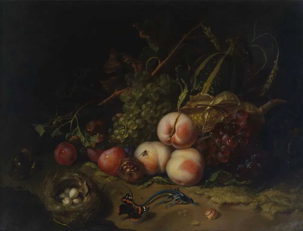 Fruit in art quiz: Fruit and Insects, 1711, Uffizi, Florence, Italy.
