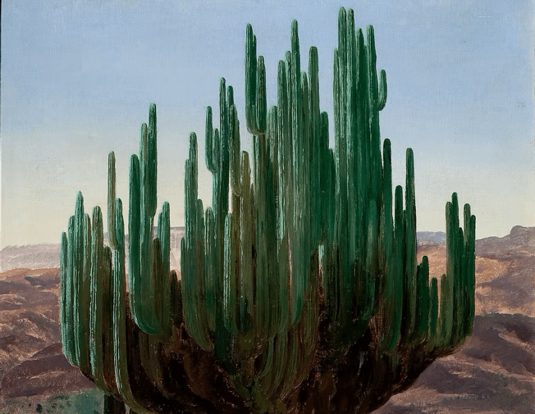 Cardón State of Oaxaca: José María Velasco, Cardón, State of Oaxaca, 1887, Museo Nacional de Arte, Mexico City, Mexico. Detail.
