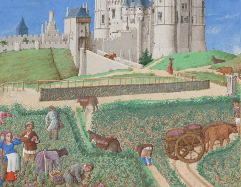 Limbourg brothers art: Limbourg brothers, September in Très Riches Heures du Duc de Berry, 1412–1416, Musée Condé, Chantilly, France. Detail.
