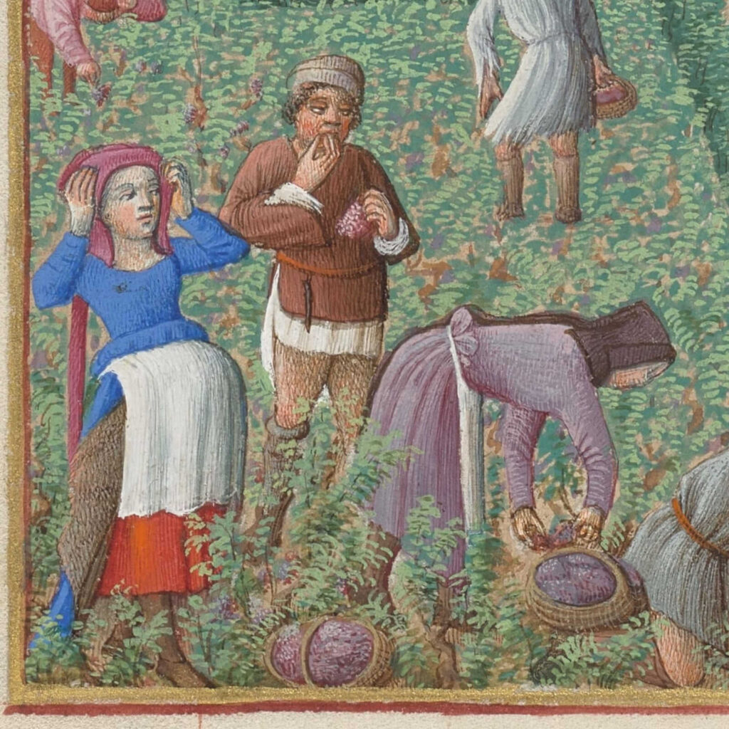 Limbourg brothers art: Limbourg brothers, September in Très Riches Heures du Duc de Berry, 1412–1416, Musée Condé, Chantilly, France. Detail.
