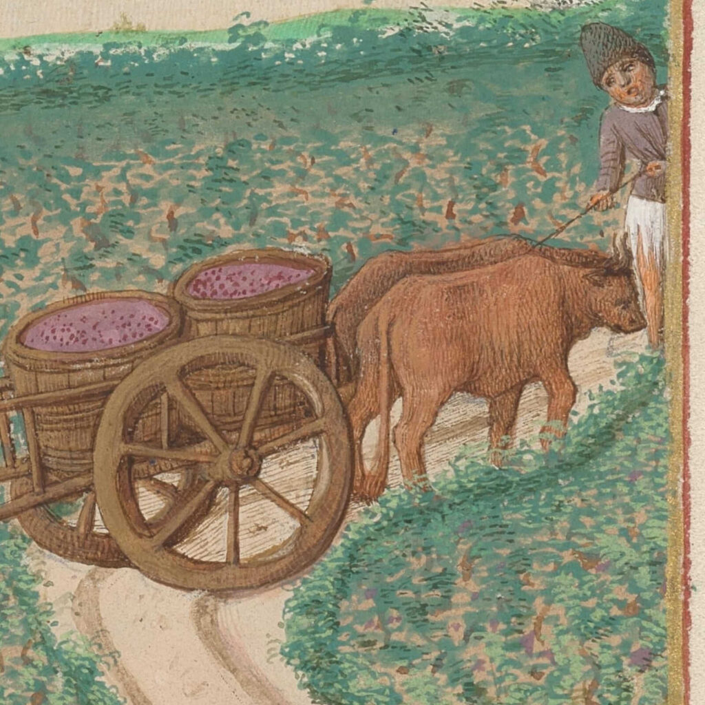 Limbourg brothers art: Limbourg brothers, September in Très Riches Heures du Duc de Berry, 1412–1416, Musée Condé, Chantilly, France. Detail.
