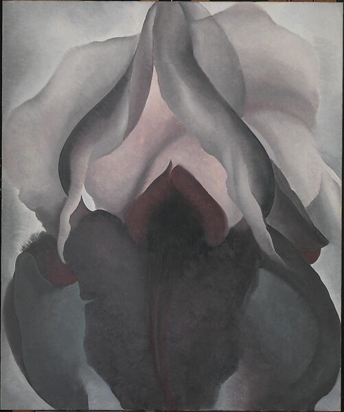 Georgia O'Keeffe paintings: Georgia O’Keeffe, Black Iris, 1926, Metropolitan Museum of Art, New York City, NY, USA. Museum’s website.

