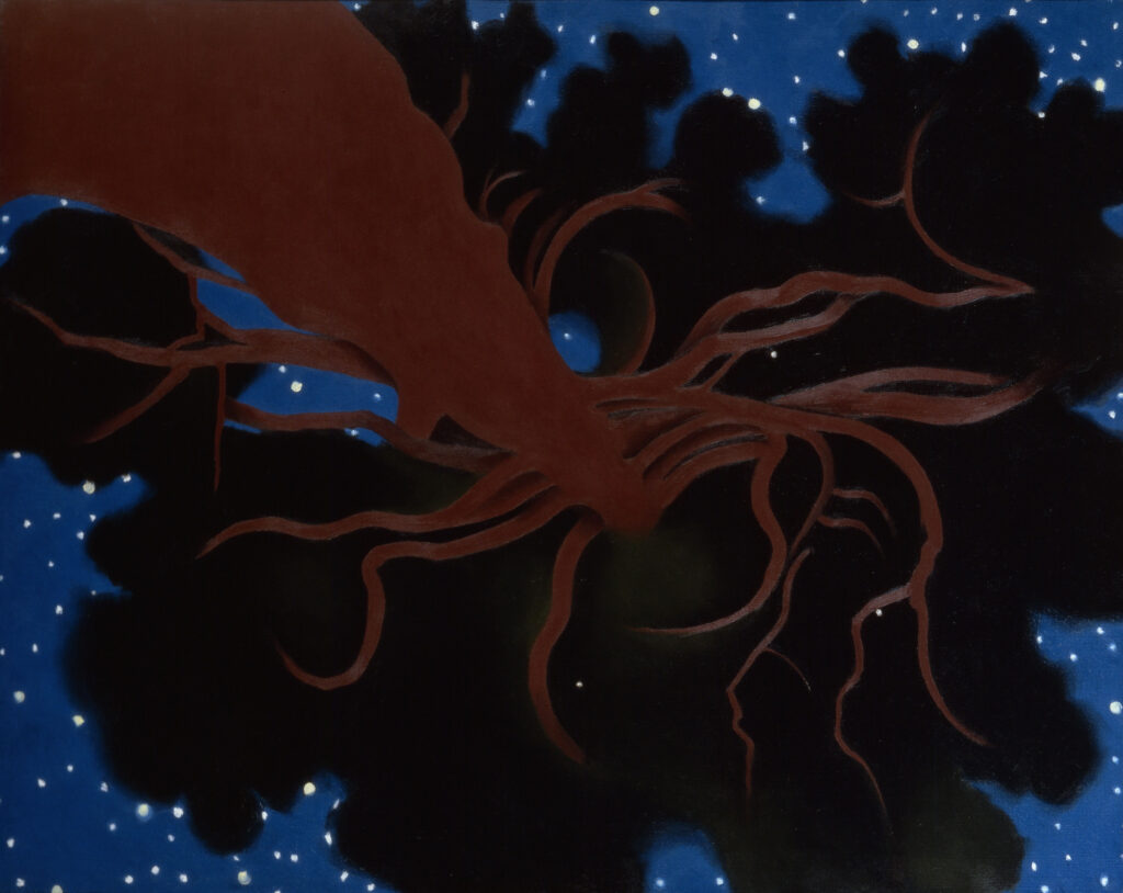 Georgia O'Keeffe paintings: Georgia O’Keeffe, The Lawrence Tree, 1929, Wadsworth Atheneum, Hartford, CT, USA. Wikimedia Commons (public domain).
