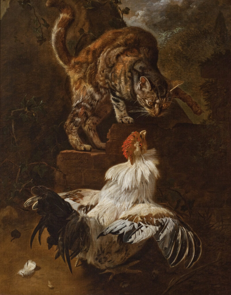 kraków artworks: Jacomo Victors, Fight Between a Rooster and a Cat, 17th century, National Museum in Kraków, Kraków, Poland.
