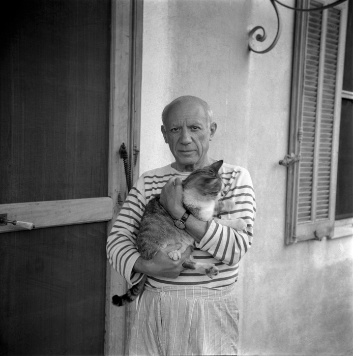 artists cats: Picasso with one of his cats, Vallauris, 1954, Museu Picasso, Barcelona, Spain. Museum’s website.
