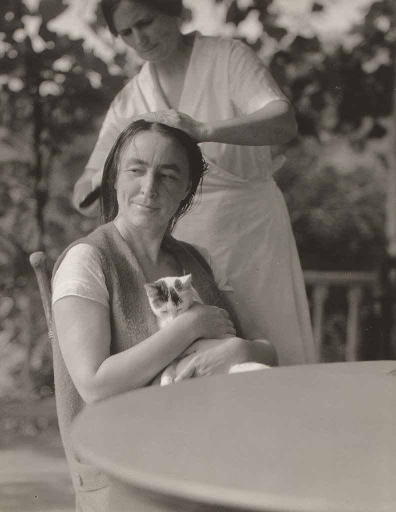 artists cats: Georgia O’Keeffe with one of her cats. Georgia O’Keeffe Museum, Santa Fe, NM, USA. Instagram.
