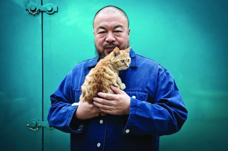 artists cats: Ai Weiwei with one of his cats. Facebook.
