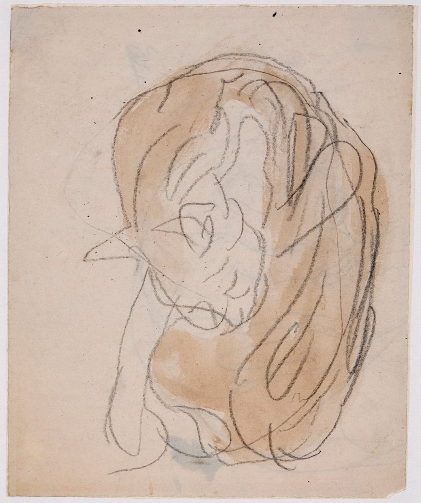 Gwen John Strange Beauties: Gwen John, Cat, c. 1905, National Museum Cardiff, Cardiff, UK.
