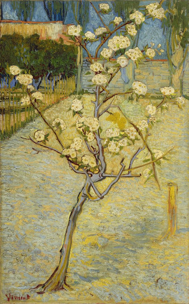 Van Gogh Spring: Vincent van Gogh, Small Pear Tree in Blossom, 1888, Van Gogh Museum, Amsterdam, Netherlands.
