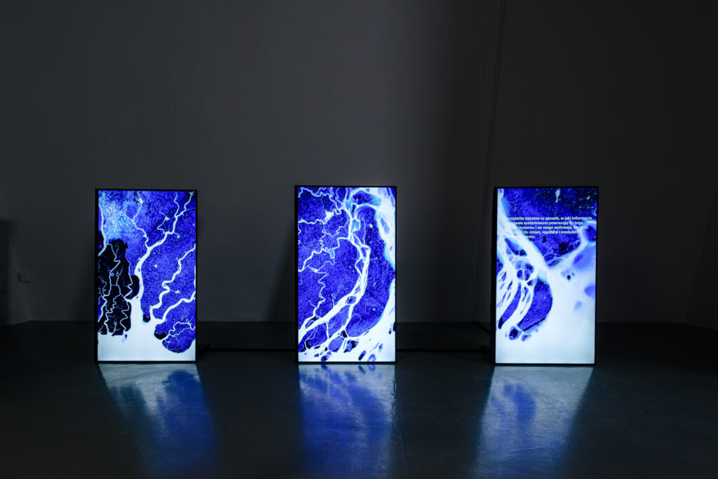 studiotopia: Territorial Agency (art), Dr. Alexander Damianos (sci), Anthropocene Great Acceleration, exhibition view of Studiotopia 2.0. Sensitive Data of the Anthropocene, CCA Łaźnia, Gdańsk, Poland. Photo by Robert Wolak. Courtesy of CCA Łaźnia.
