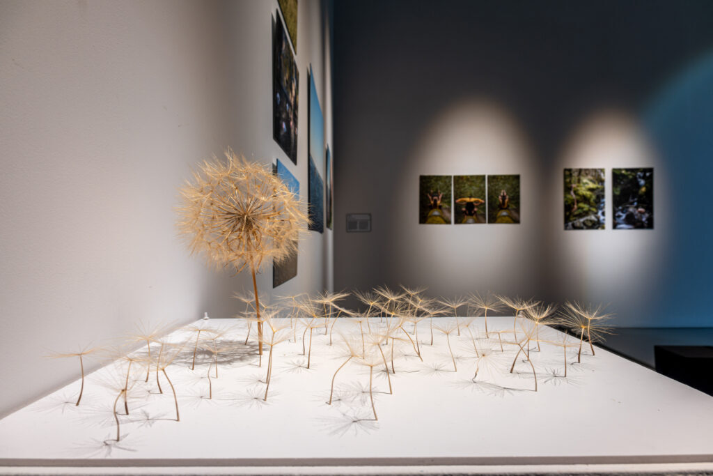 studiotopia: Fanny Sariano (art), Kalliopi Ioumpa (sci), MU, 2026, exhibition view of Studiotopia 2.0. Sensitive Data of the Anthropocene, CCA Łaźnia, Gdańsk, Poland. Photo by Robert Wolak. Courtesy of CCA Łaźnia.
