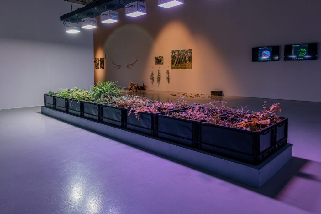 studiotopia: Adrien Lucca (art), Prof. Dr. Ing. Colas Schretter, Dr. Marko Ilić, Dr. Aiman Raza (sci), Parallel Worlds: Moth Vision, 2026, exhibition view of Studiotopia 2.0. Sensitive Data of the Anthropocene, CCA Łaźnia, Gdańsk, Poland. Photo by Robert Wolak. Courtesy of CCA Łaźnia.
