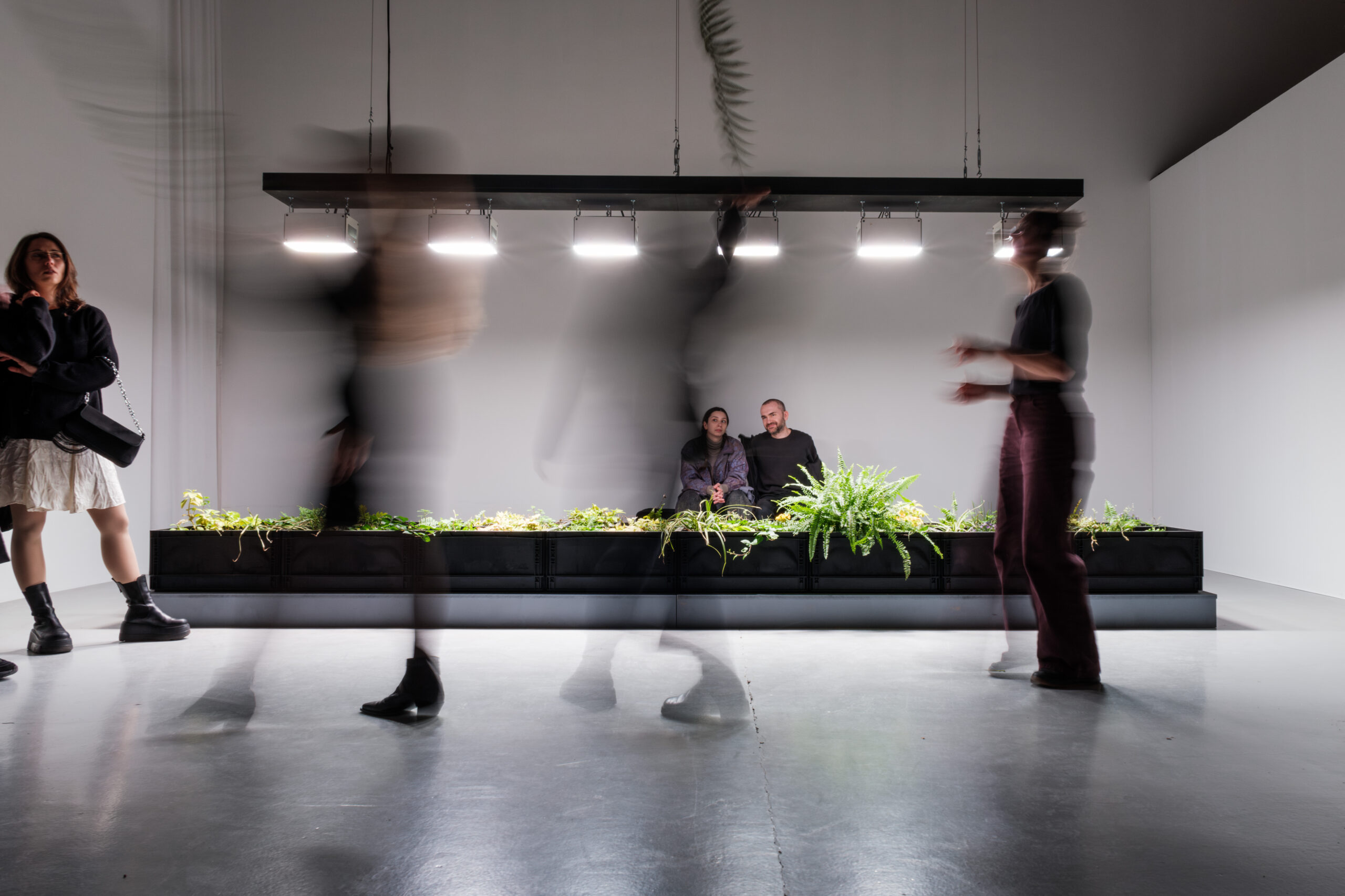 5 Projects Merging Art and Science for a Symbiotic World to See at Studiotopia 2