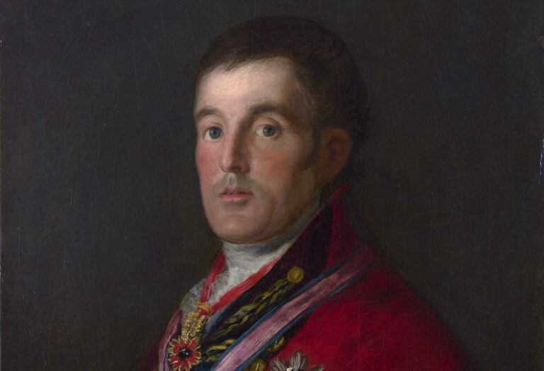 Duke of Wellington: Francisco Goya, The Duke of Wellington, 1812–1814, National Gallery, London, UK. Detail.
