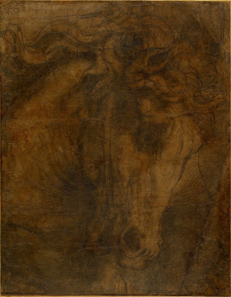 Raphael Sublime Poetry: Raphael, The Head of a Horse, cartoon fragment for the Expulsion of Heliodorus from the Stanza di Eliodoro, ca. 1512, Ashmolean Museum, University of Oxford, Oxford, UK.
