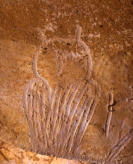 owl in art: Ancient owl drawing, 32,000-30,000 BCE, Chauvet Cave, Ardèche, France. Carnegie Museum of Natural History.
