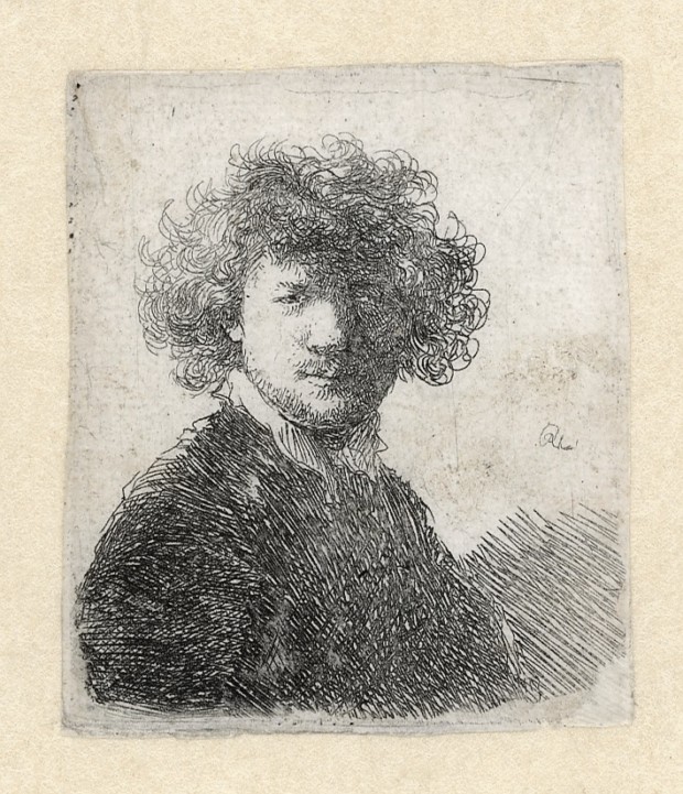 anatomy lesson of dr deijman: Rembrandt, Self-Portrait with Curly Hair, c. 1629, Rembrandt House Museum, Amsterdam, Netherlands.
