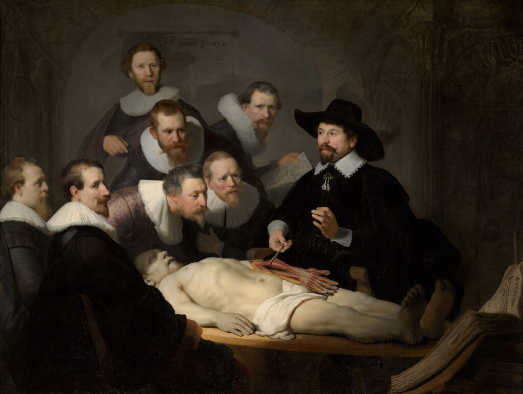 anatomy lesson of dr deijman: Rembrandt van Rijn, The Anatomy Lesson of Dr. Nicolaes Tulp, 1632, Mauritshuis, The Hague, Netherlands.
