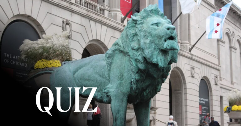 Edward Kemeys, Lions, 1893, Art Institute of Chicago, Chicago, IL, USA. DNAinfo Chicago. Detail.
