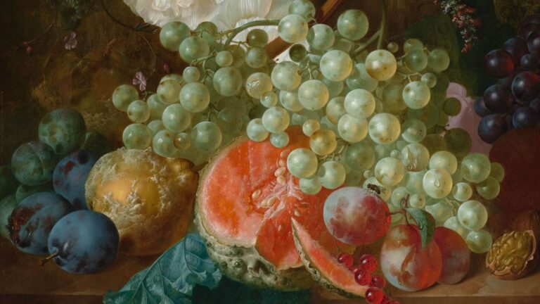 Jan van Os: Jan van Os, Still Life with Carnations and Exotic Fruit, ca. 1770s, Virginia Museum of Fine Arts, Richmond, VA, USA. Detail.
