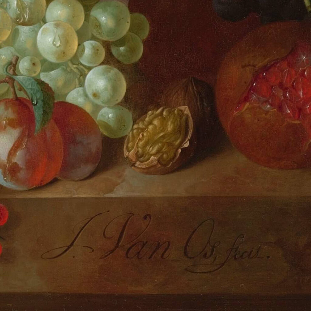 Jan van Os: Jan van Os, Still Life with Carnations and Exotic Fruit, ca. 1770s, Virginia Museum of Fine Arts, Richmond, VA, USA. Detail.
