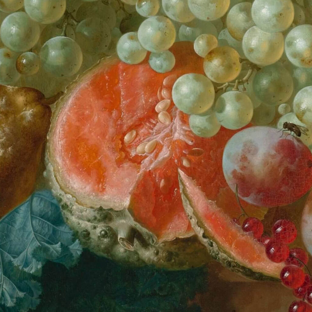 Jan van Os: Jan van Os, Still Life with Carnations and Exotic Fruit, ca. 1770s, Virginia Museum of Fine Arts, Richmond, VA, USA. Detail.

