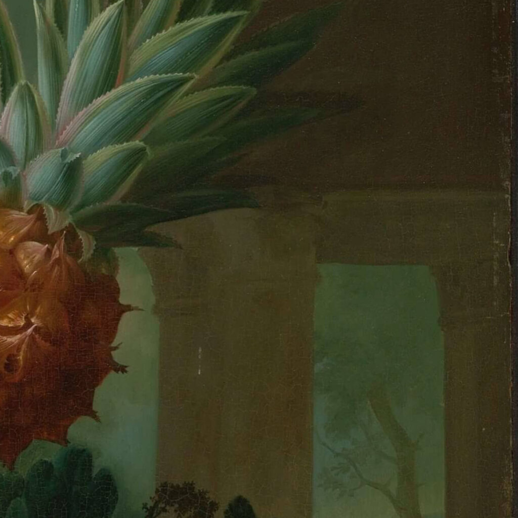 Jan van Os: Jan van Os, Still Life with Carnations and Exotic Fruit, ca. 1770s, Virginia Museum of Fine Arts, Richmond, VA, USA. Detail.
